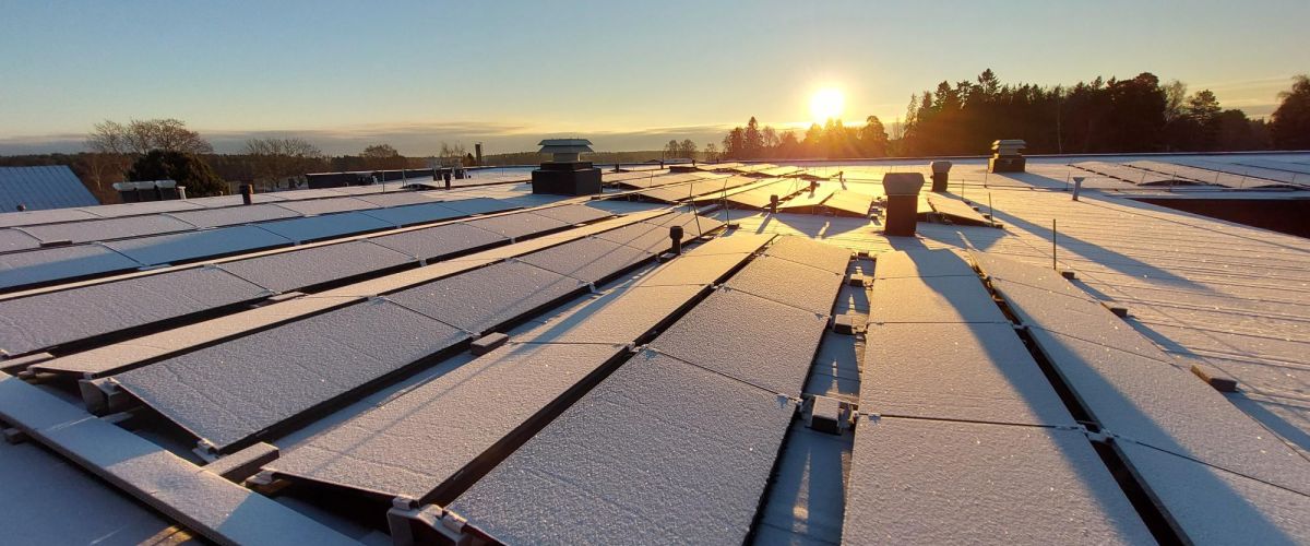 En grupp människor tittar framåt mot personer med finska flaggan