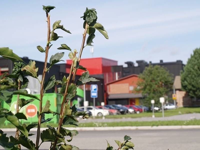 Kontaktuppgifter till Administrationen i Campus Kungsgården